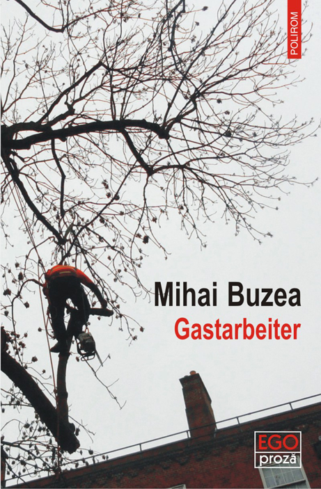 Scriitorul Mihai Buzea: „Am înțeles faptul că peste tot în lume se fură de la stat“