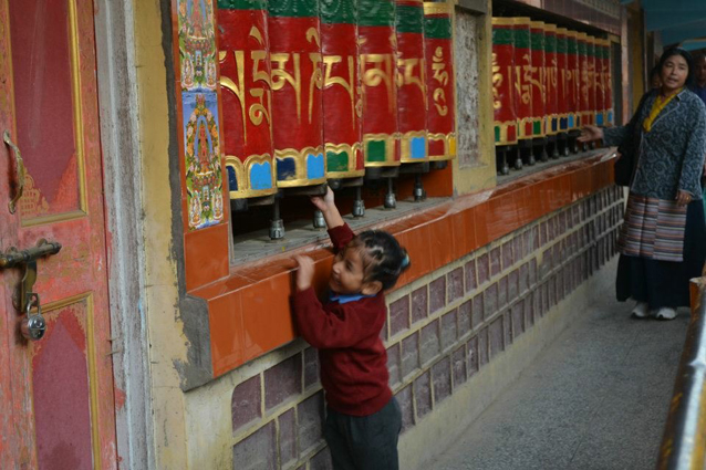 Mica Lhasa
